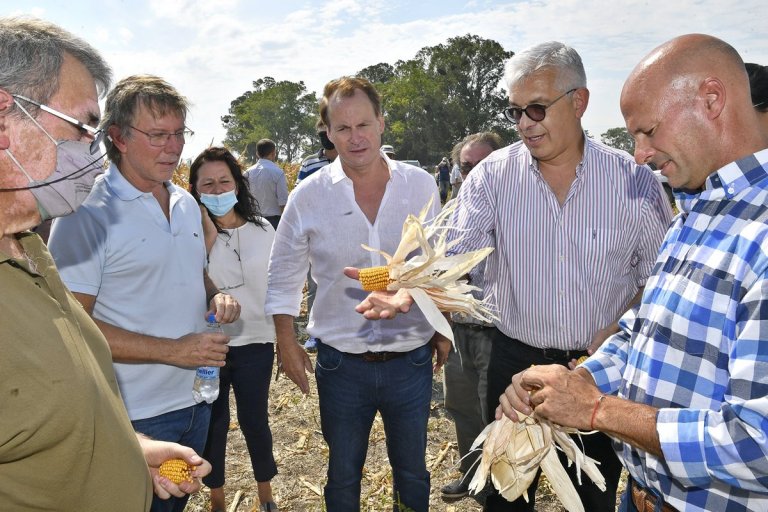 Más de 1600 productores entrerrianos se adhirieron a la emergencia.