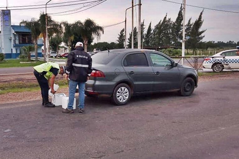 Nuevo lote de vacunas equinas secuestrado. Nuevo lote de vacunas equinas secuestrado.