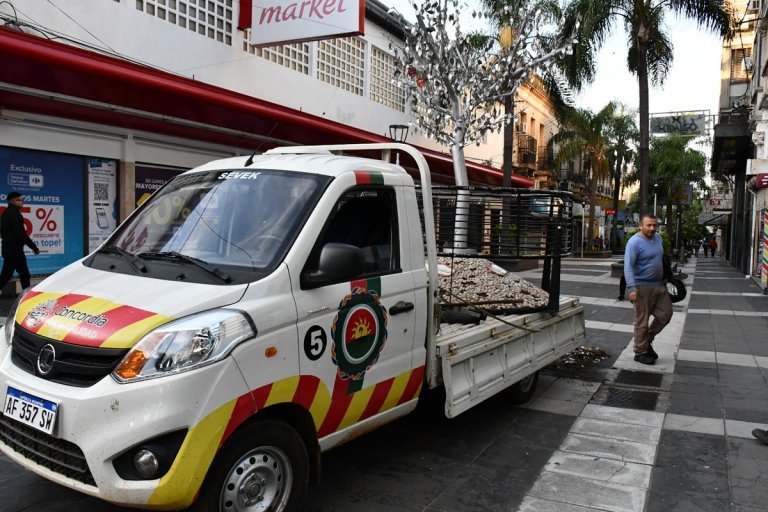 La obra finalmente fue retirada de la peatonal de Concordia.