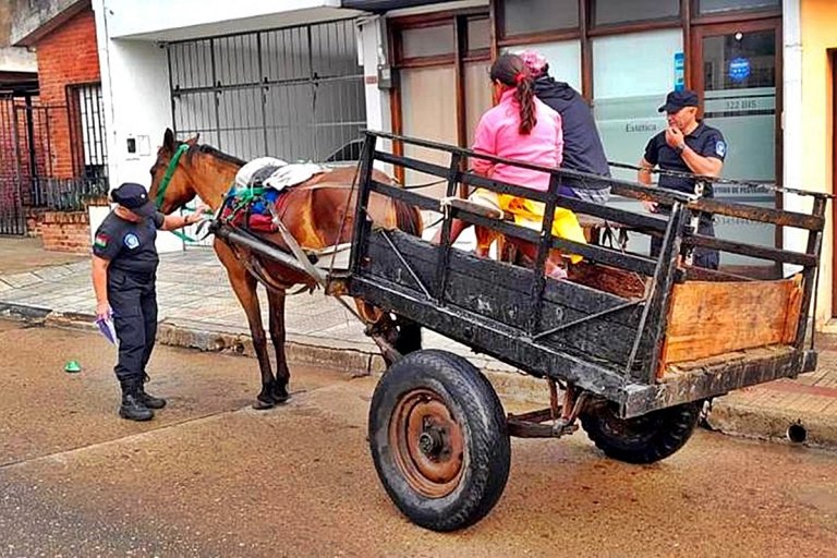 Solicitan poder trabajar y llevar la comida a su mesa. Solicitan poder trabajar y llevar la comida a su mesa.